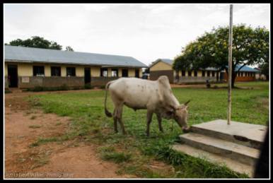 Awere Primary School